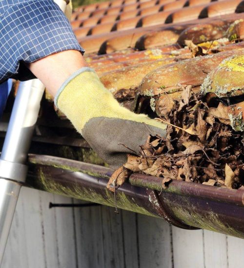 Exceptional Gutter Cleaning Services in New Romney, Kent