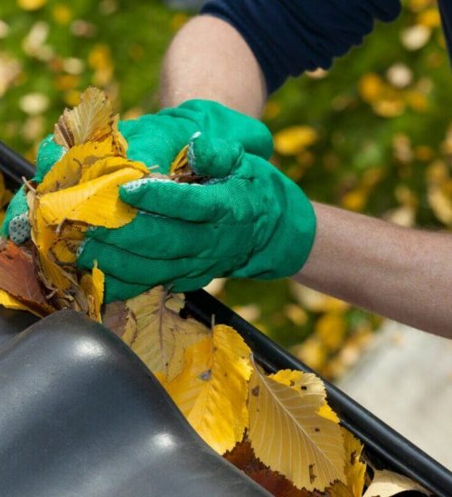 Exceptional Gutter Cleaning Services in Billericay, Essex