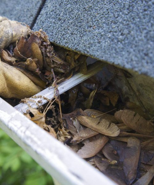 Exceptional Gutter Cleaning Services in Waltham Cross, Greater London
