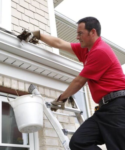 Exceptional Gutter Cleaning Services in Tottenham, Greater London