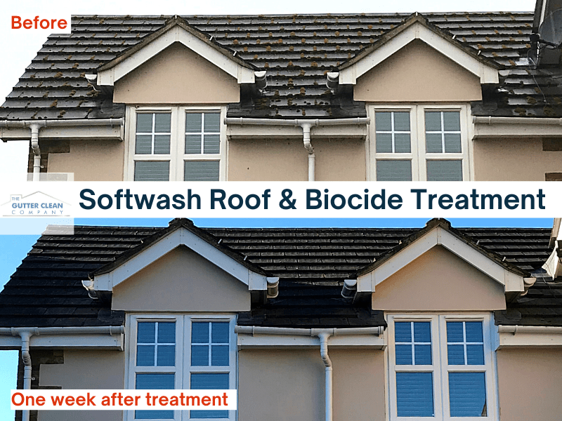 Soft wash roof and Biocide Treatment