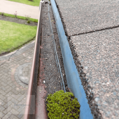 Exceptional Gutter Cleaning Services in Lowestoft, Suffolk