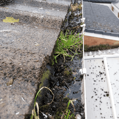 Exceptional Gutter Cleaning Services in Raunds, Northamptonshire