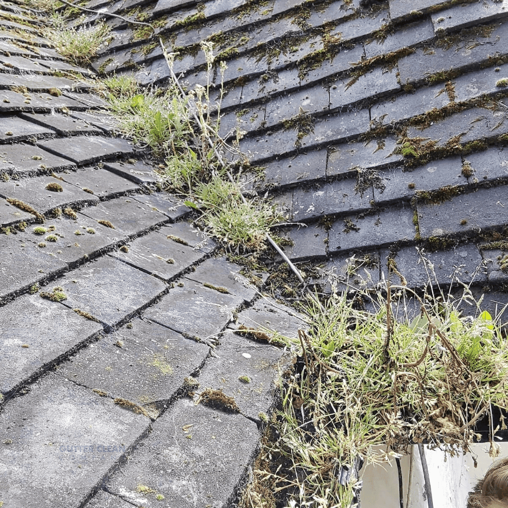 Exceptional Gutter Cleaning Services in Bedford, Bedfordshire
