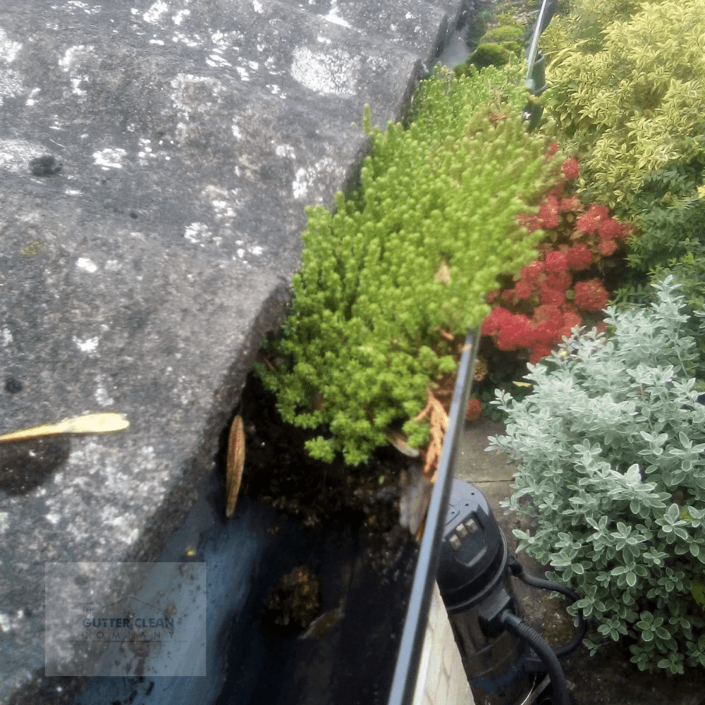 Exceptional Gutter Cleaning Services in Potters Bar