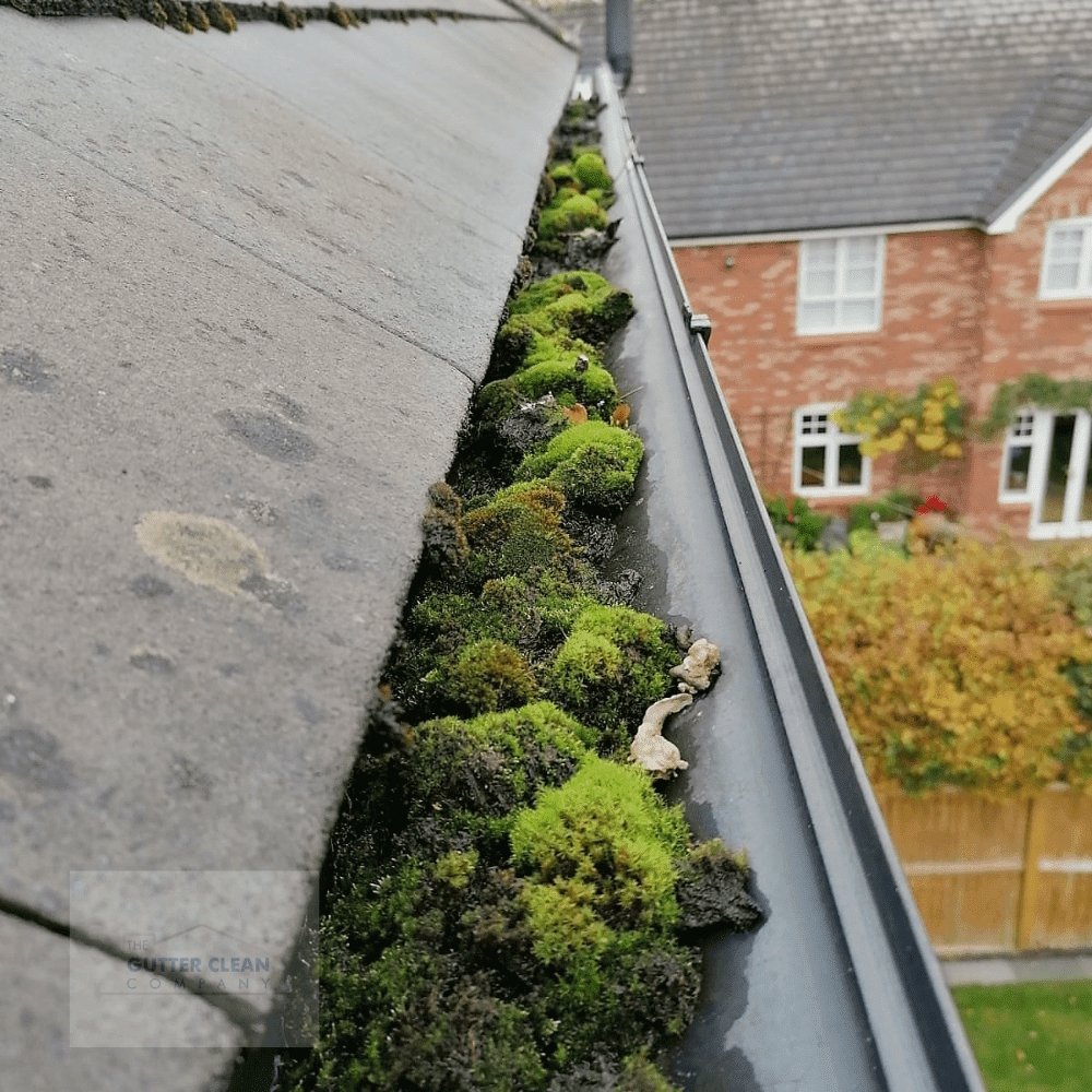 Exceptional Gutter Cleaning Services in Hertford