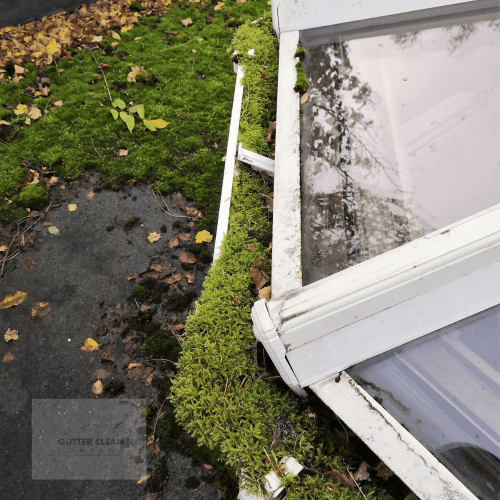 Exceptional Gutter Cleaning Services in Leighton Buzzard