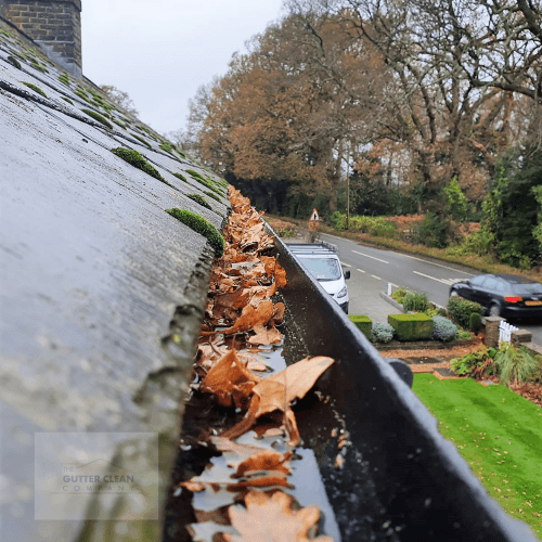 Exceptional Gutter Cleaning Services in Norwich, Norfolk