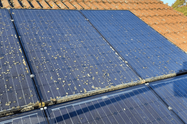 solar-clean-11