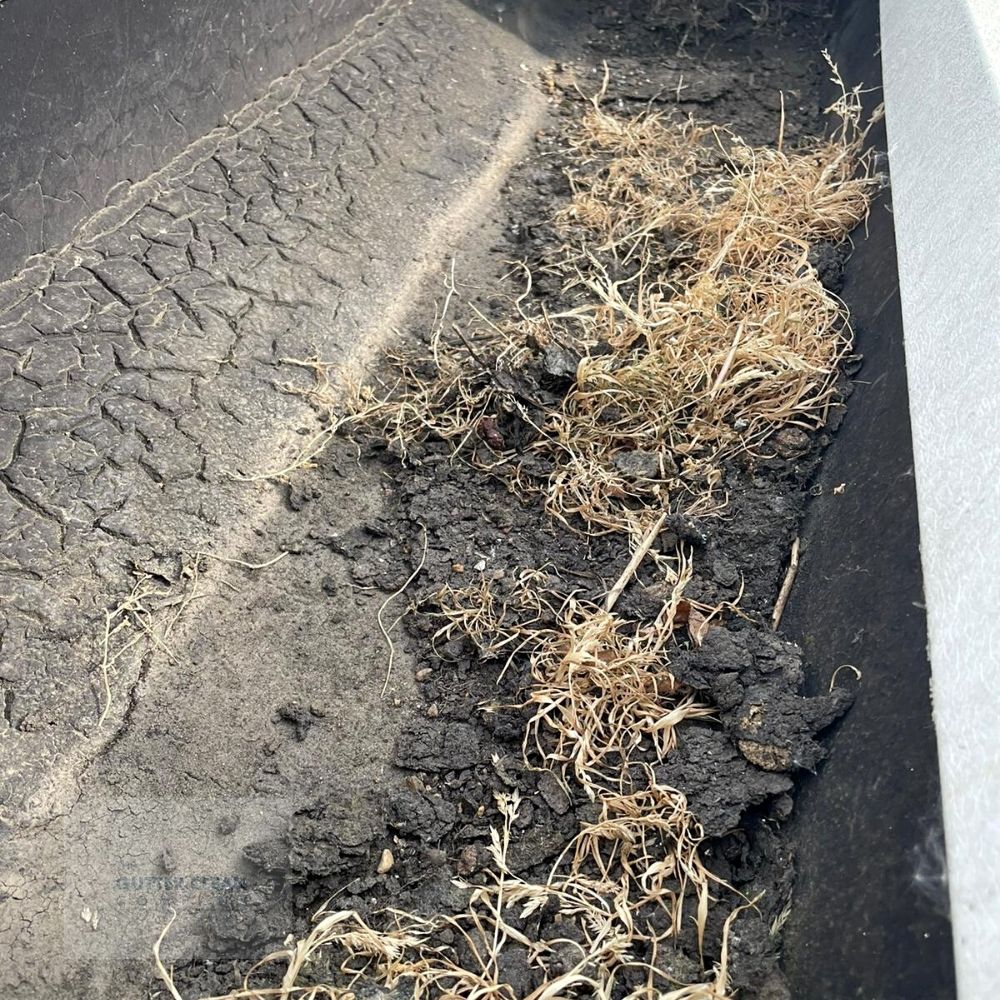 Exceptional Gutter Cleaning Services in Epping, Essex