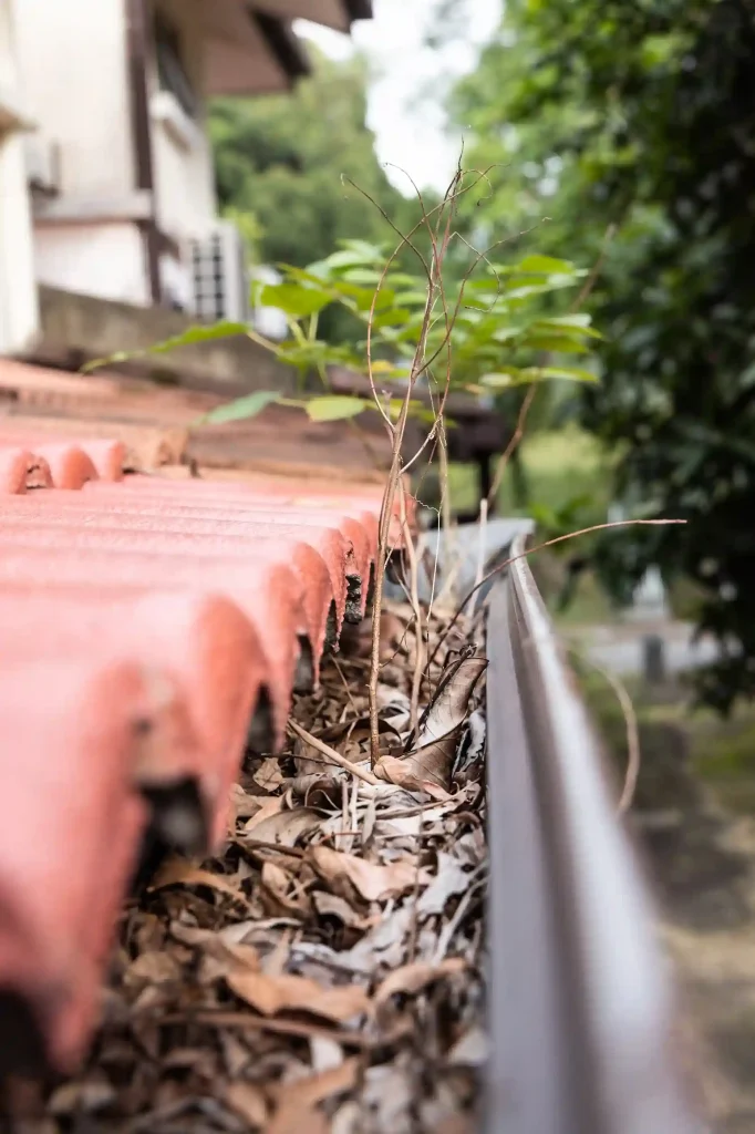 Exceptional Gutter Cleaning Services near me