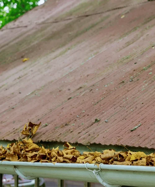 Exceptional Gutter Cleaning Services in Woodford, Greater London