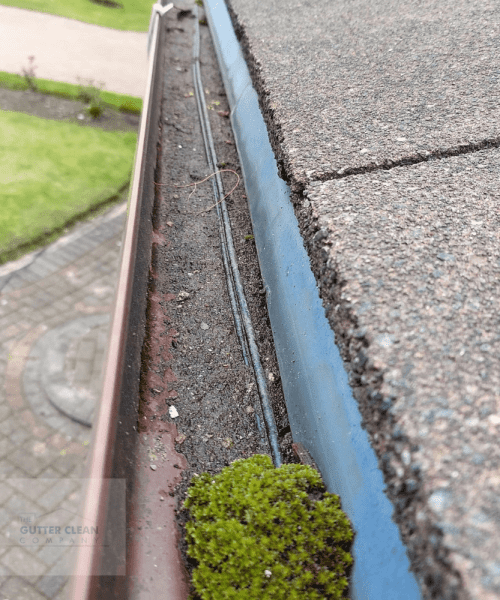 Exceptional Gutter Cleaning Services near my location