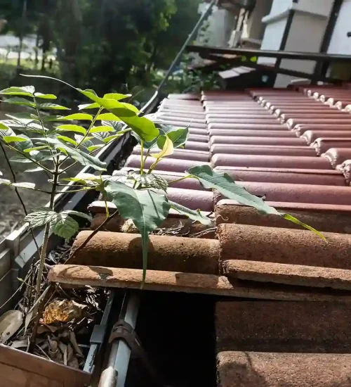 Exceptional Gutter Cleaning Services in Billericay, Essex