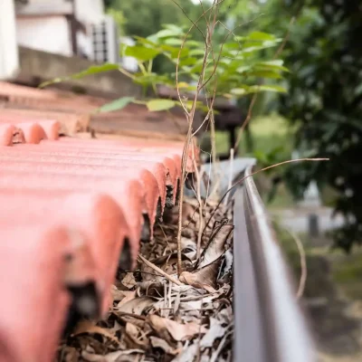 Exceptional Gutter Cleaning Services near me