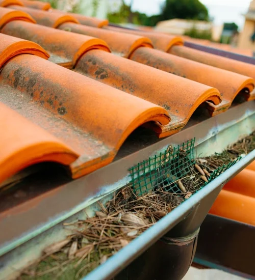 Exceptional Gutter Cleaning Services in Rye, Kent